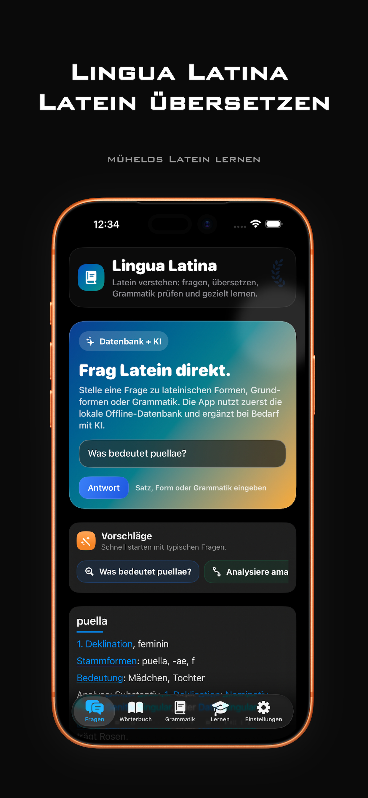 Fragen und Satzanalyse in Lingua Latina